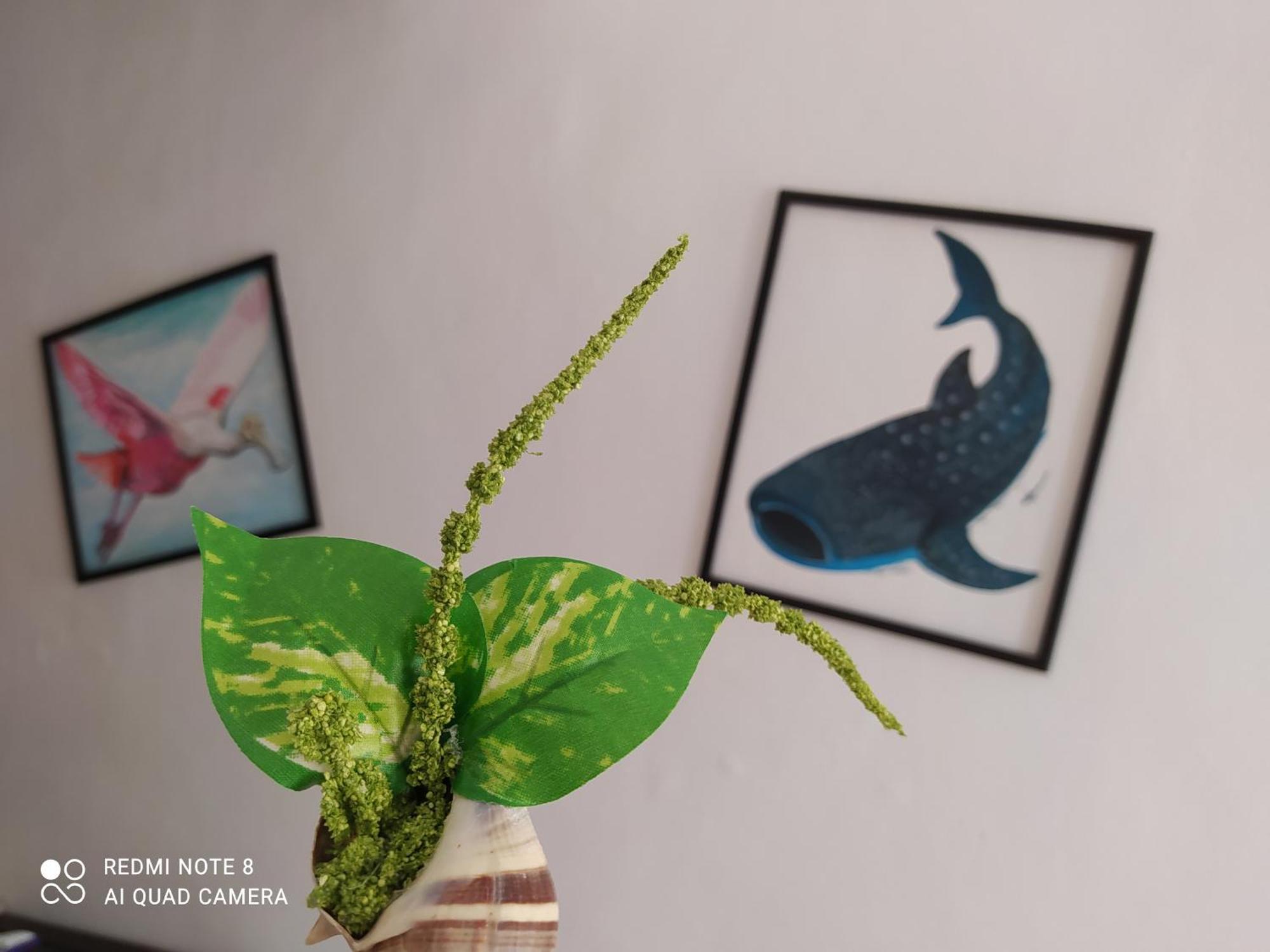Casa Ohana-Disfruta Del Paraiso Isla Holbox Exteriér fotografie